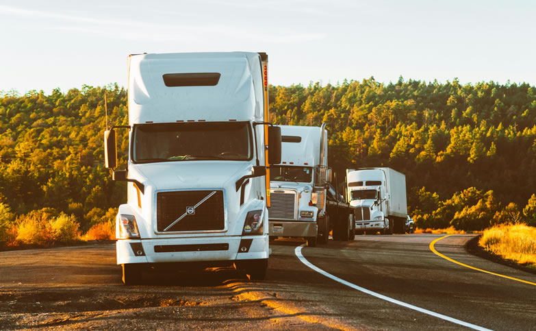 Transportation Management